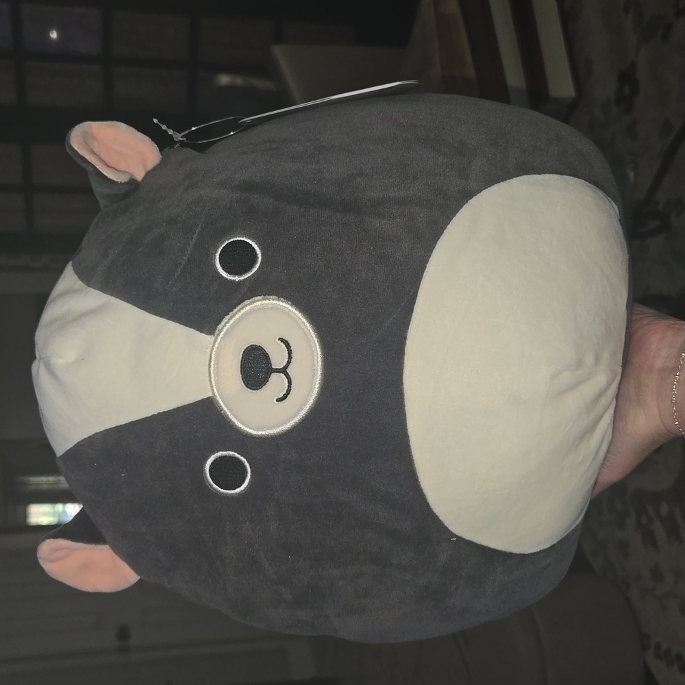 🤑2021 Skyler the Skunk Squishmallow